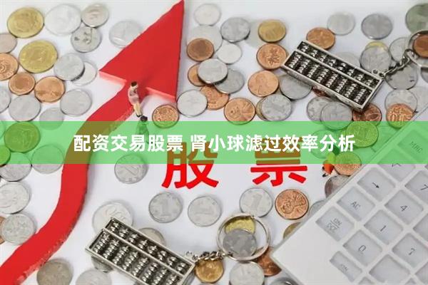 配资交易股票 肾小球滤过效率分析