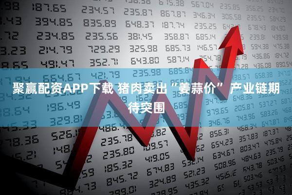 聚赢配资APP下载 猪肉卖出“姜蒜价” 产业链期待突围