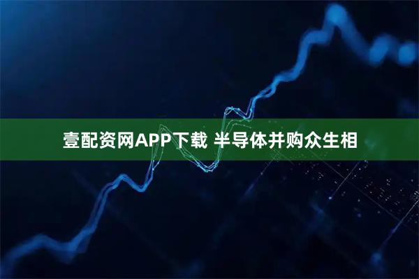 壹配资网APP下载 半导体并购众生相