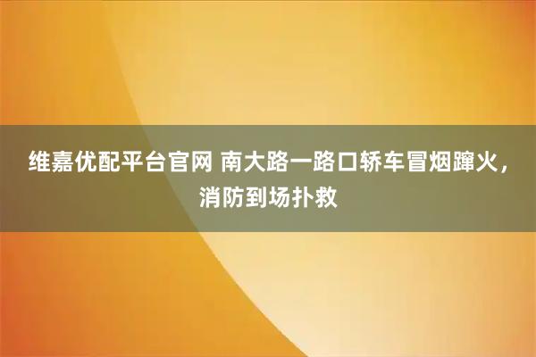 维嘉优配平台官网 南大路一路口轿车冒烟蹿火，消防到场扑救