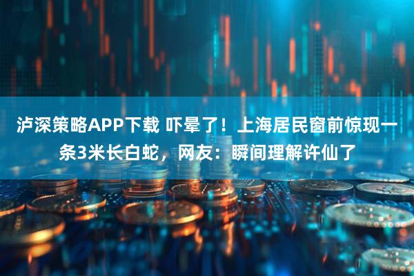 泸深策略APP下载 吓晕了！上海居民窗前惊现一条3米长白蛇，网友：瞬间理解许仙了